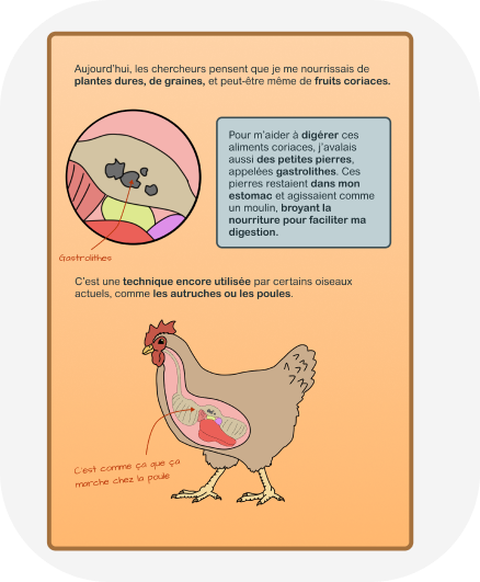 carte exemple